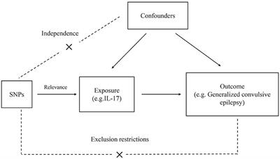 Assessment of the relationship between generalized convulsive epilepsy and systemic inflammatory regulators: a bidirectional Mendelian randomization study